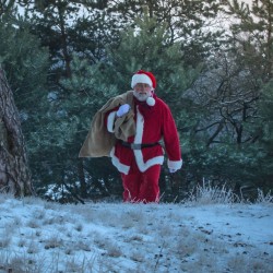 Santa Claus with a bag of gifts comes out  of the winter forest