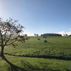 Gruener_Samstag